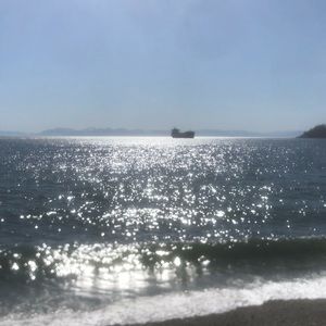 Meet your Posher, Ella